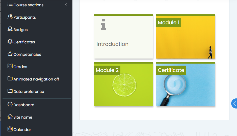 Moodle lms course page.  Ad hoc lms admin support. 